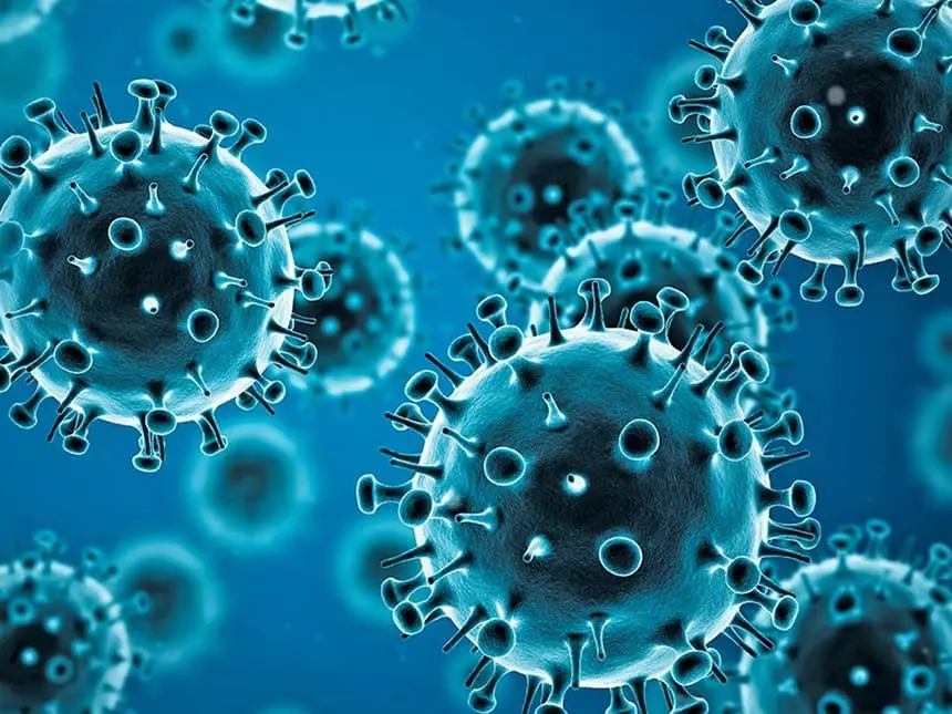 what is the flu?