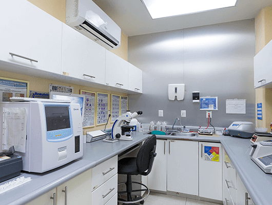 Clinical Laboratory 24/7 for inpatients and outpatients at Hospitals CMQ in Puerto Vallarta & Riviera Nayarit