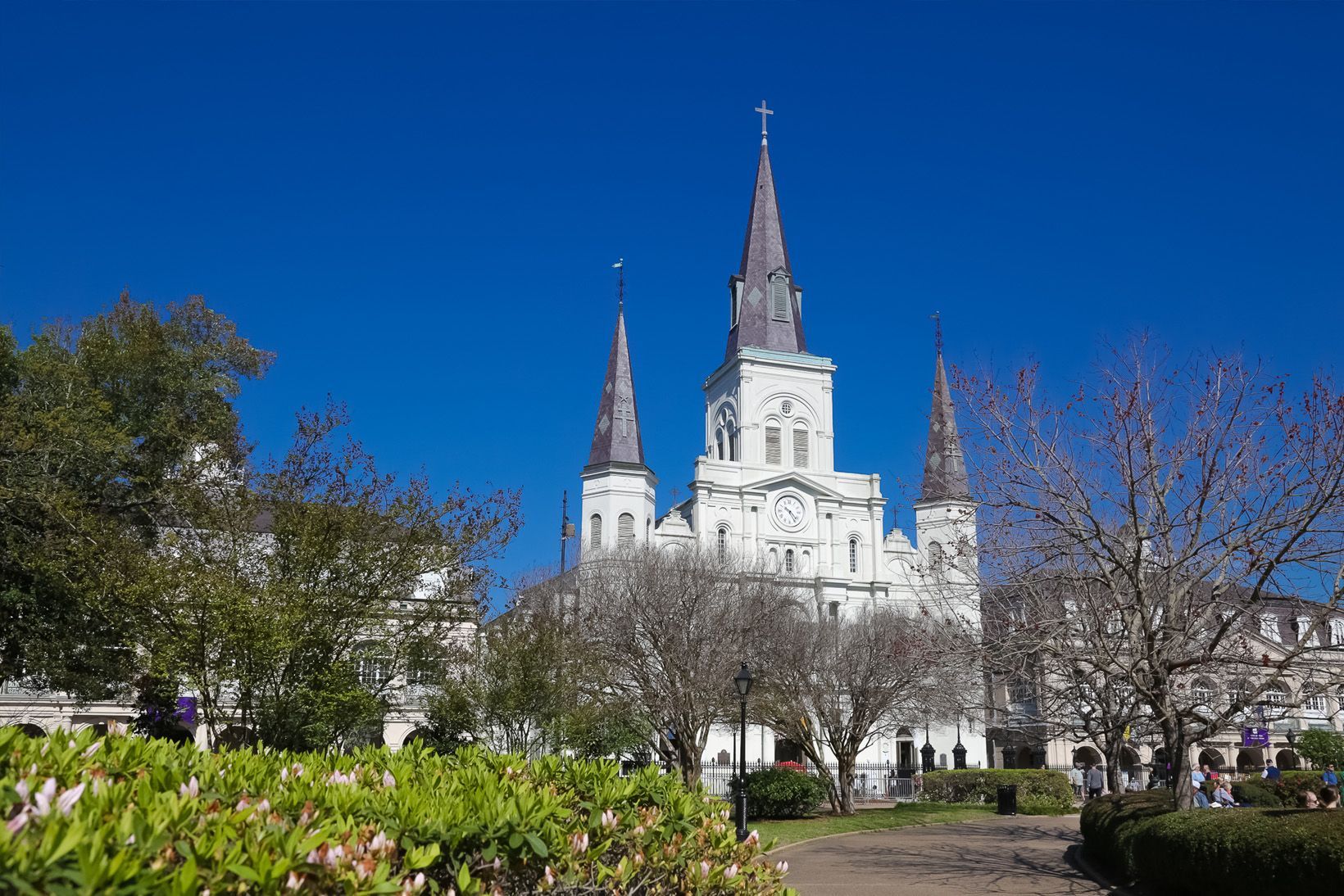 Saint Louis Cathedral, Jackson Square