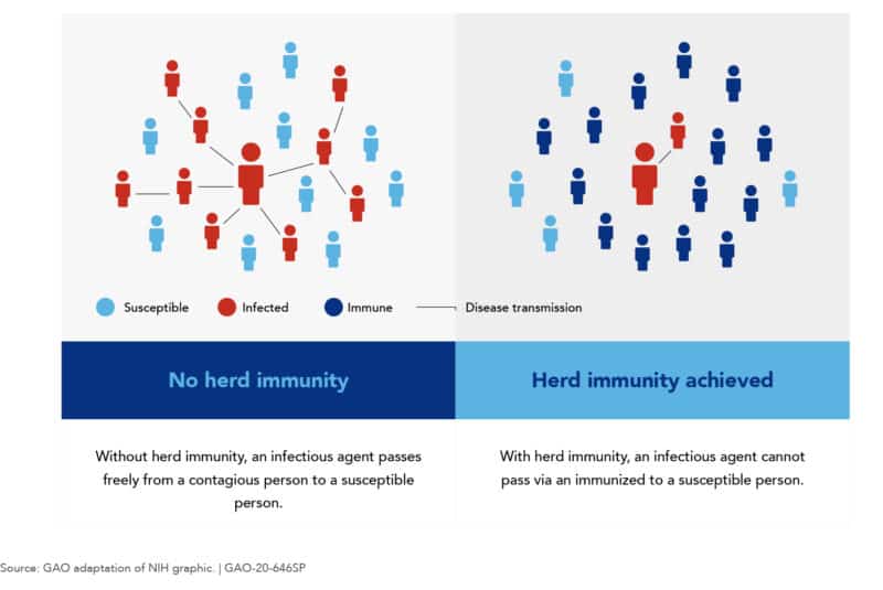 Herd immunity