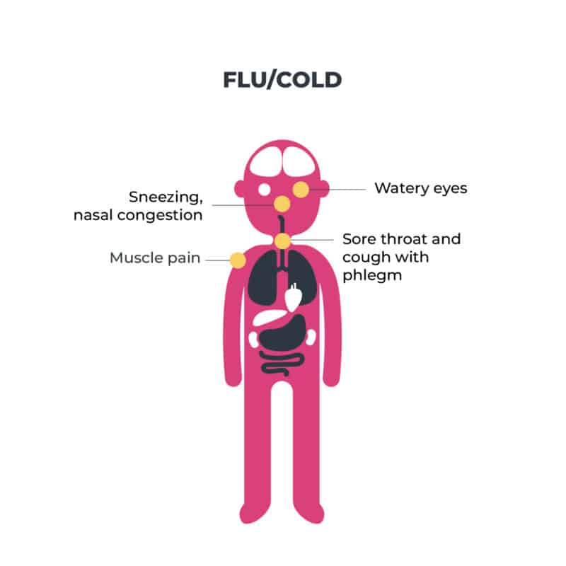 Omicron Symptoms, How Are They Different from a Common Cold?